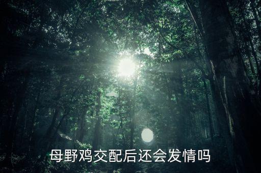 母野鸡交配后还会发情吗
