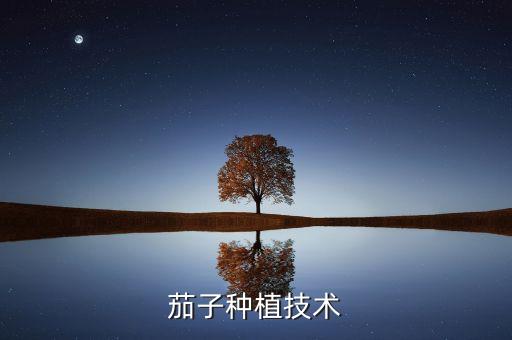 茄子种植技术