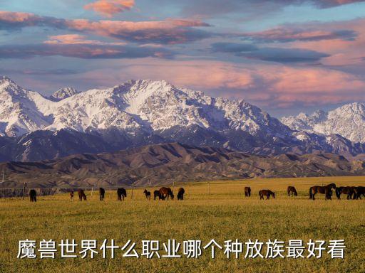 魔兽世界什么职业哪个种放族最好看