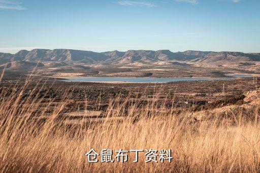 仓鼠布丁资料