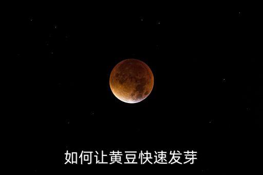 黄豆芽怎么发，如何让黄豆快速发芽