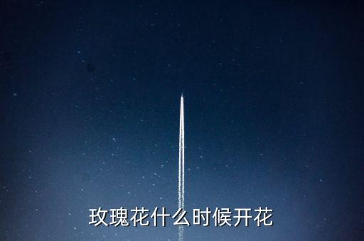 玫瑰花开花时间，玫瑰花什么时候开