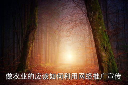 做农业的应该如何利用网络推广宣传