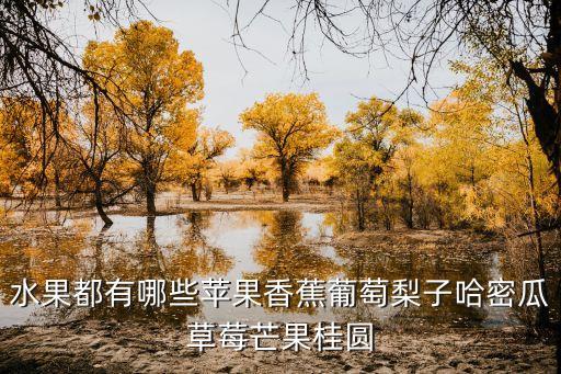 水果都有哪些苹果香蕉葡萄梨子哈密瓜草莓芒果桂圆