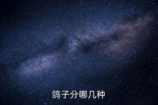 鸽子分哪几种