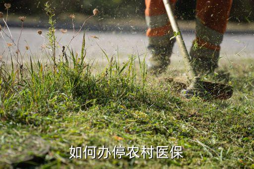 如何办停农村医保