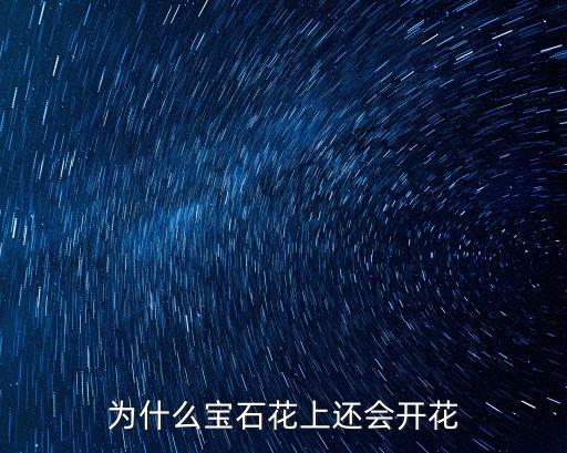 宝石花图片，石莲花就是宝石花么