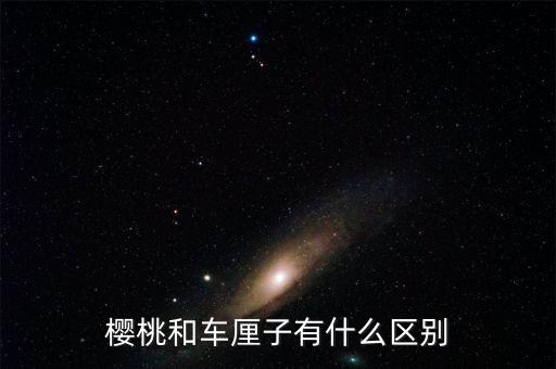 樱桃和车厘子有什么区别