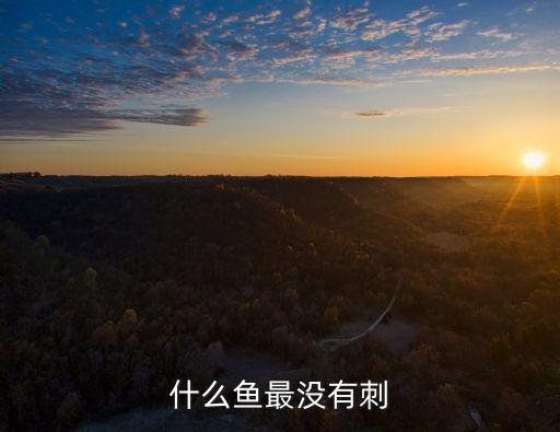 什么鱼没刺，什么鱼最没有刺