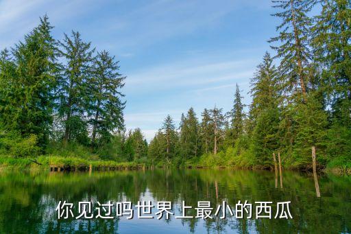 你见过吗世界上最小的西瓜