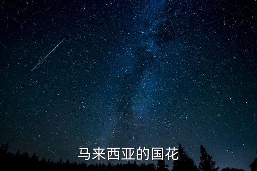 马来西亚国花，英马来西亚的国花是什么