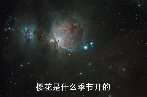 樱花啥时候开，樱花什么时候开