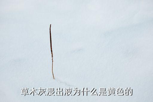 草木灰浸出液为什么是黄色的