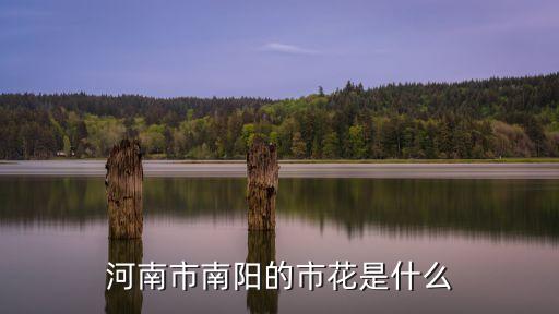 河南市南阳的市花是什么