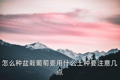 盆栽葡萄，家庭葡萄盆栽种植应该注意哪些问题