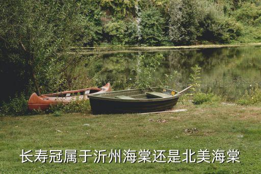长寿冠海棠，长寿冠属于沂州海棠还是北美海棠