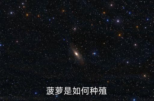 菠萝是如何种殖