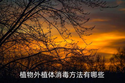 外植体消毒，外植体的消毒过程