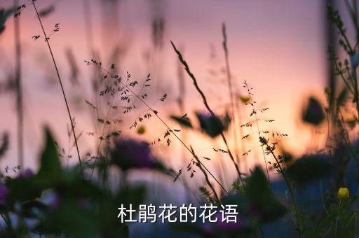 杜鹃花的花语