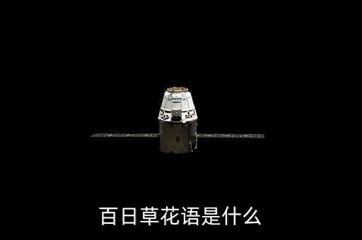 百日草花语，百日草的花语是什么