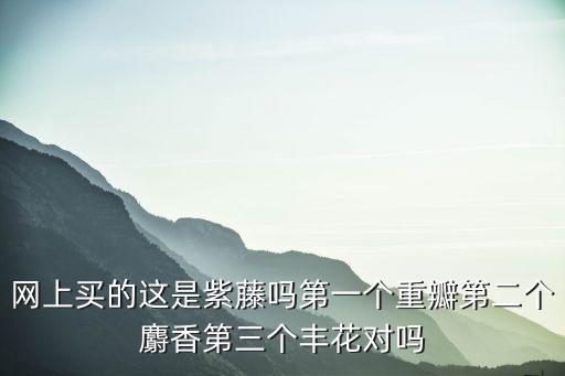 紫藤花真实图片，紫藤萝花图片