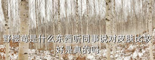野樱莓，野樱莓是什么东西听同事说对皮肤比较好是真的吗