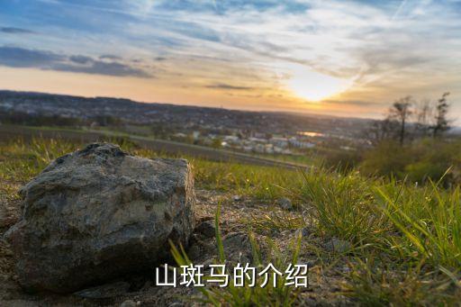山斑马的介绍
