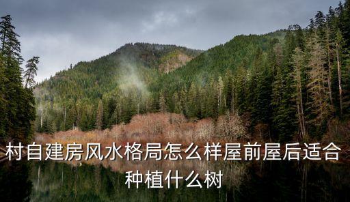 屋后种什么树最旺，房前屋后种什么树旺宅