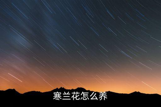 寒兰花怎么养