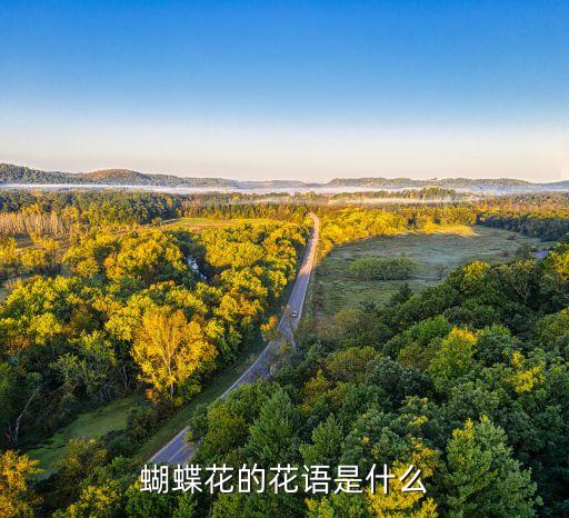 蝴蝶花的花语是什么
