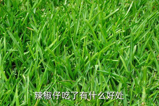 辣椒仔吃了有什么好处