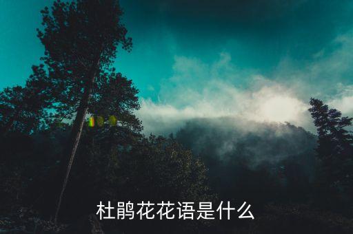 杜鹃花花语是什么