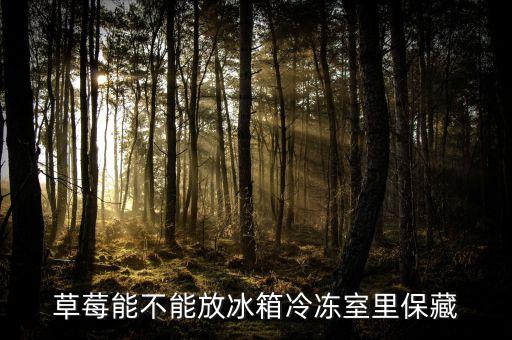 草莓能不能放冰箱冷冻室里保藏