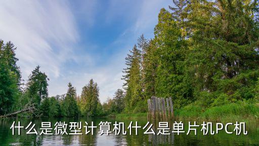 微型，微型是什么意思