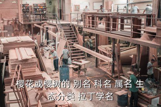 樱树，樱树与樱桃树的简介特征与区别