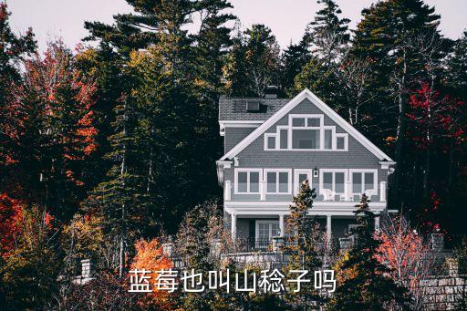 蓝莓也叫山稔子吗