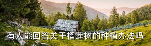 有人能回答关于榴莲树的种植办法吗