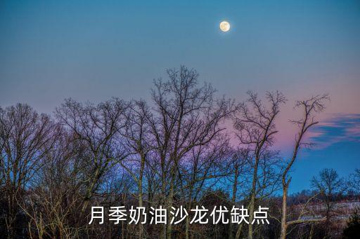 奶油龙沙月季，请教小窗台上想种奶白色月季奶龙和无限永远哪个好