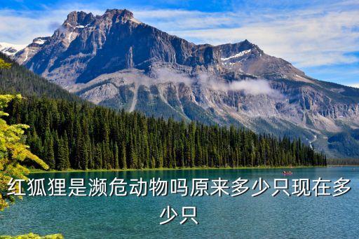 红狐狸，红狐狸是濒危动物吗原来多少只现在多少只