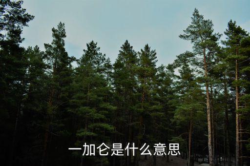 加仑盆什么意思，比如说5加仑是什么意思