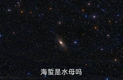海蜇是水母吗，海蜇是不是水母