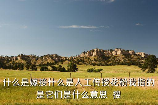 什么是嫁接什么是人工传授花粉我指的是它们是什么意思  搜