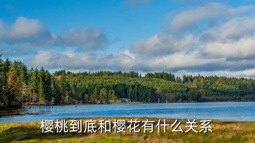 樱桃到底和樱花有什么关系