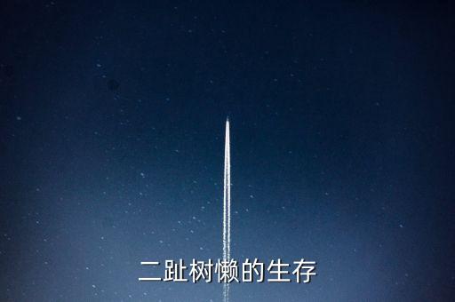 二趾树懒的生存