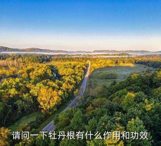 请问一下牡丹根有什么作用和功效