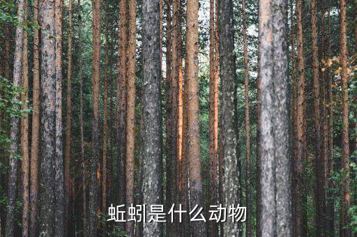 蚯蚓是什么动物，蚯蚓是什么的小动物