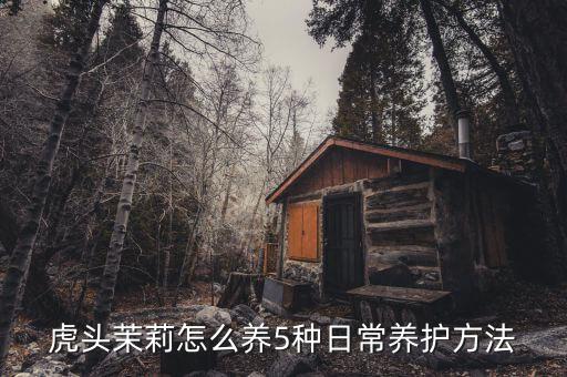 虎头茉莉，虎头茉莉怎么养5种日常养护方法