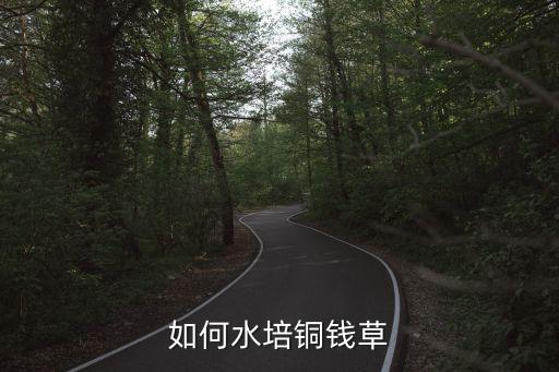 铜钱草怎么水培，有谁知道铜钱草怎么水培买了好几次了都是买回来洗干净放水里