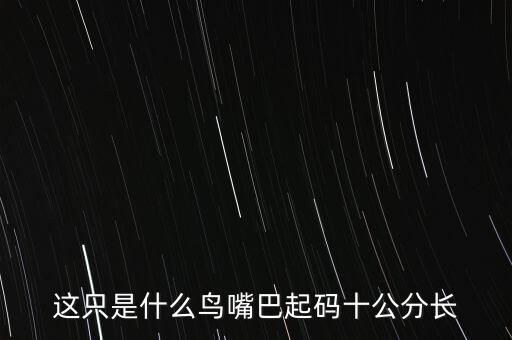 这只是什么鸟嘴巴起码十公分长