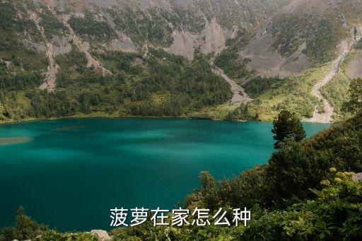 菠萝在家怎么种